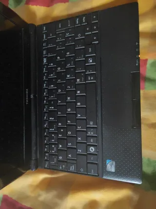 Toshiba nb500-13j | Linux mint | 300GB