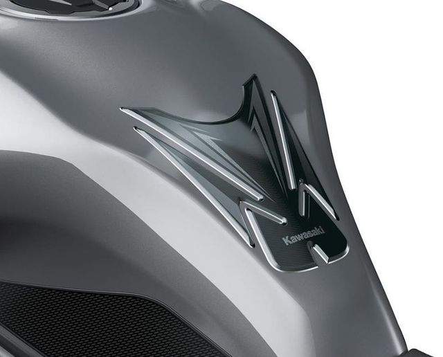 PROTECTOR DEPOSITO KAWASAKI Z900