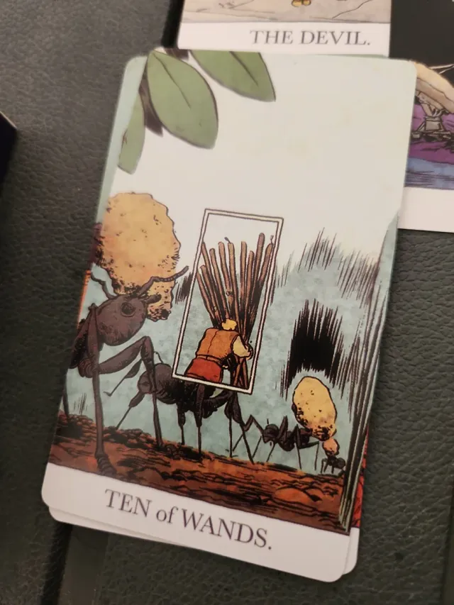 Baraja oráculo/Barajas de Tarot *Leer Descripcion*