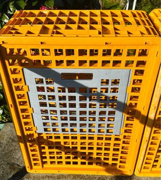 Transportín para palomas o aves