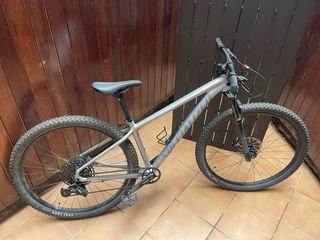Specialized Rockhopper Expert 29 Argento