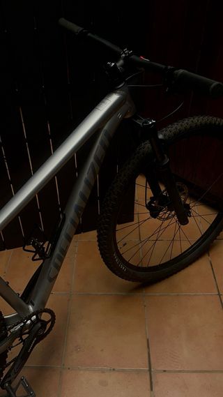 Specialized Rockhopper Expert 29 Argento