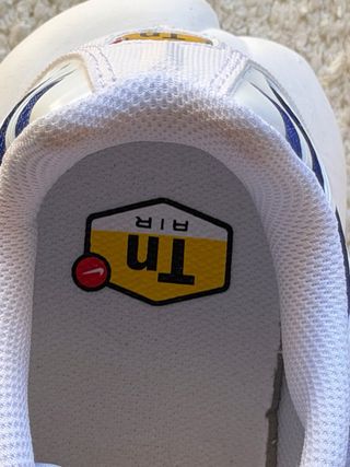 Nike Air Max Plus TN White Wild Grape