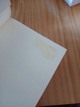 La extraña desaparición de Esme Lennox