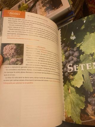 Guia del recol·lector