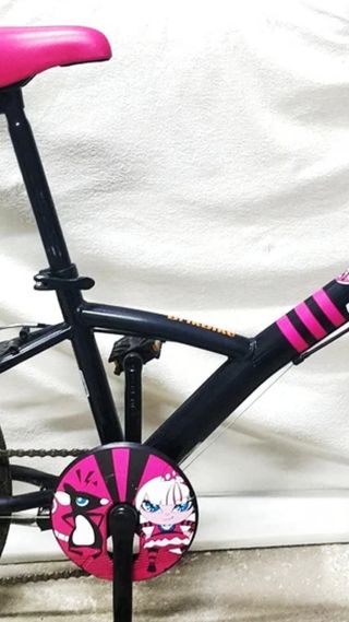 Bicicleta MTB niños Edición Especial Misti Girl