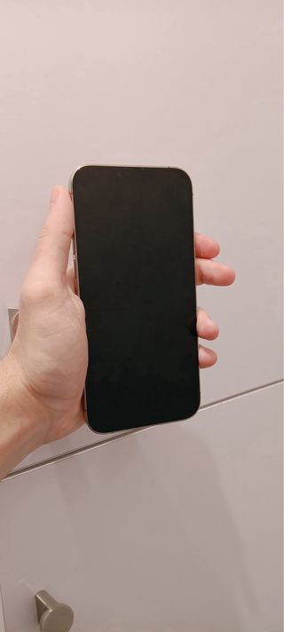 iPhone 13 Pro Max 256GB Dorado