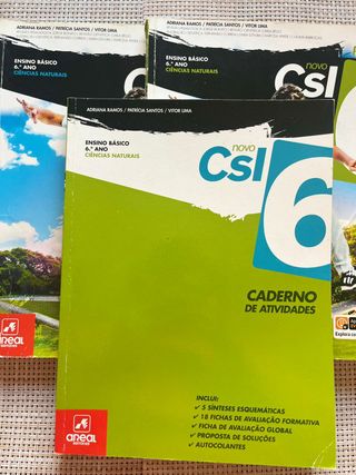 Novo CSI 6º Ano