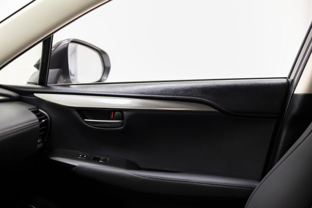 Lexus NX 2021
