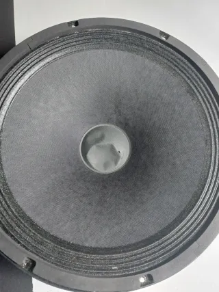 Altavoz Beyma Woofer 12" 2 Unidades.