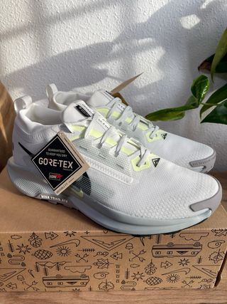 Nike Pegasus Trail 5 GTX