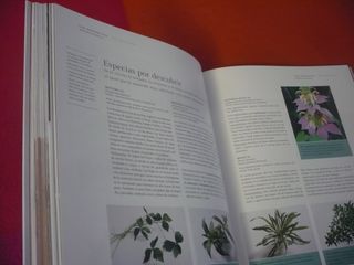 SALSAS HIERBAS AROMATICAS Y ESPECIAS TEUBNER