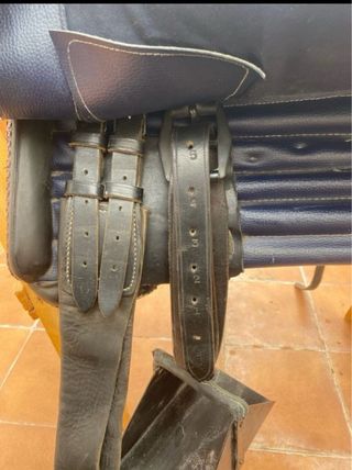 Montura de amazona también la alquilo por día