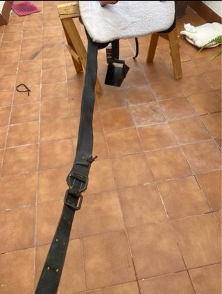 Montura de amazona también la alquilo por día