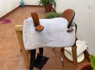 Montura de amazona también la alquilo por día