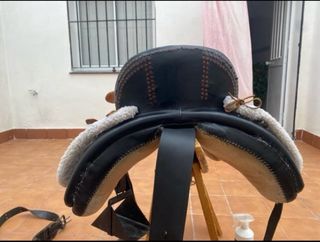 Montura de amazona también la alquilo por día