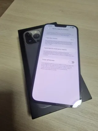 iPhone 13 Pro Max 256GB Gris