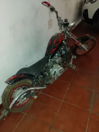 Mini Chopper Motor Tianzhong