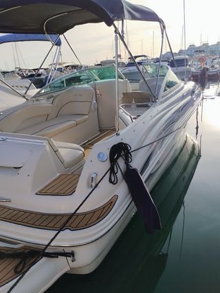 Sea Ray 240 en venta