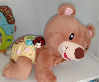 Osito gateo con mariquita