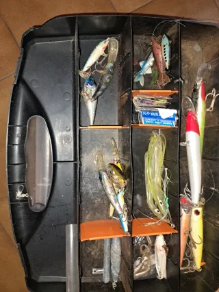 Equipo de pesca y accesorios Precio según compra