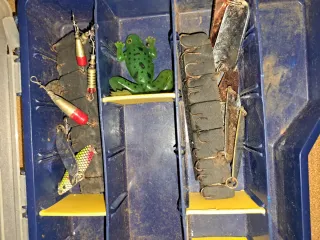 Equipo de pesca y accesorios Precio según compra