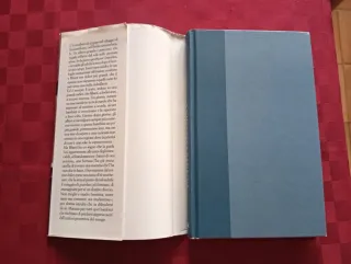 Libro La maestra bambina. Copertina rigida.