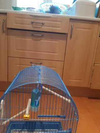 Jaula grande para pájaros azul