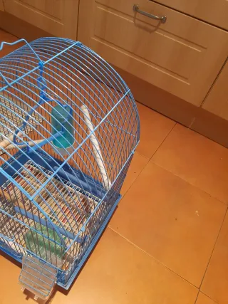 Jaula grande para pájaros azul