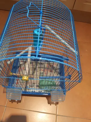 Jaula grande para pájaros azul