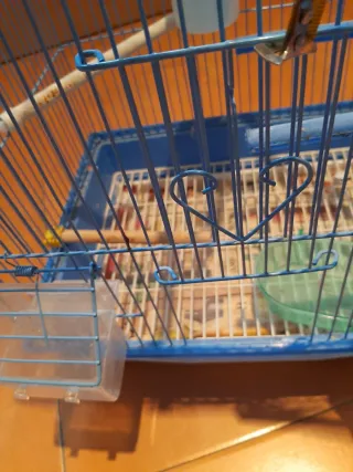 Jaula grande para pájaros azul