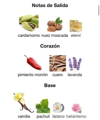 Afnan 9pm Elixir 100ml