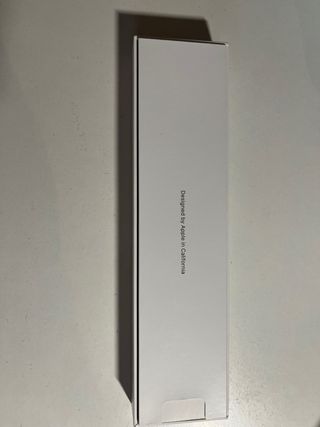 Apple Pencil 2ª Gen