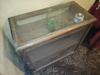 Vitrina antigua de castaño