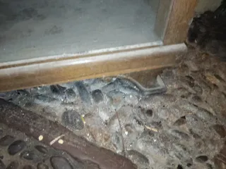 Vitrina antigua de castaño