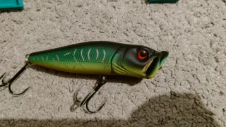 6 Esche Daiwa poppers mouth washer