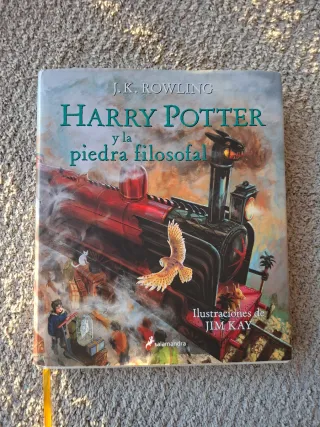 Harry Potter y la piedra filosofal (Harry Potte...