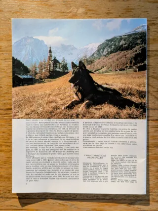 2 Revistas Félix Rodríguez de la Fuente