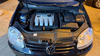 Volkswagen Golf 2007 1.9 TDi 105 Cv Techo Solar