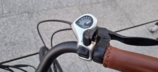 Bicicleta Eléctrica Youin Los Ángeles