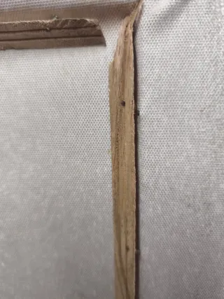 Oleografía con marco dorado ornamentado precioso