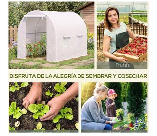 Invernadero Outsunny 250x200x200 cm Blanco