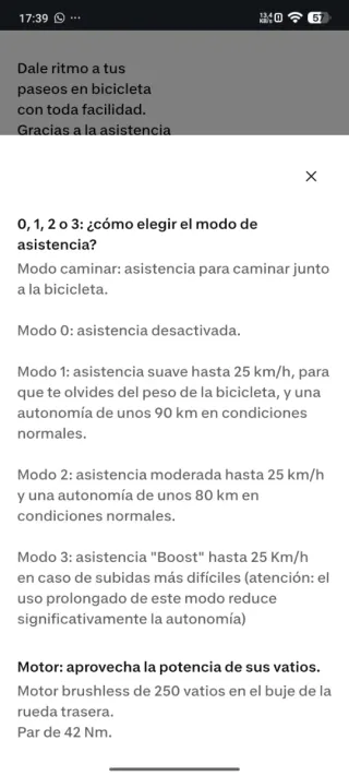 Bicicleta Eléctrica Gris