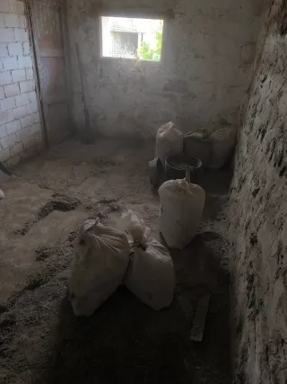 Estiércol de paloma