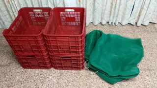 Cestas para olivas(4)