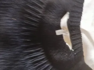 Jersey Navideño #Elfie Negro y Dorado