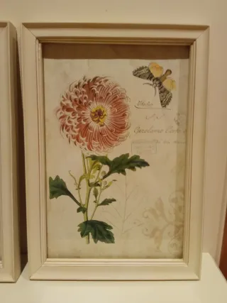 Pareja de cuadros decorativos