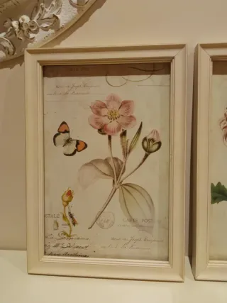 Pareja de cuadros decorativos