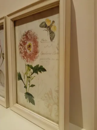 Pareja de cuadros decorativos