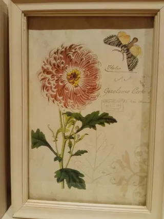 Pareja de cuadros decorativos